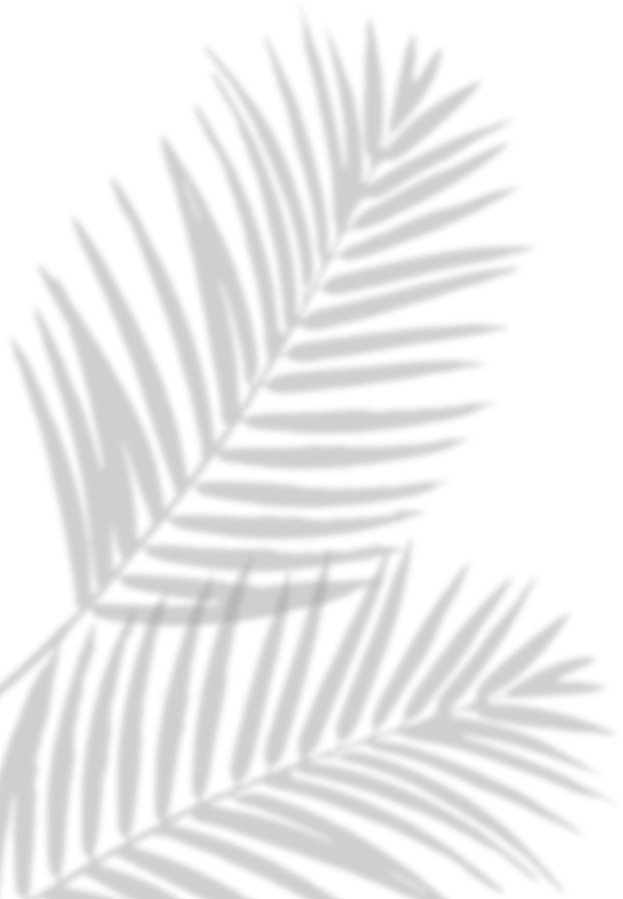 Leaves Shadow Illustration